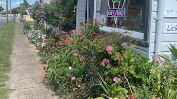 A building with a neon sign for a gelato shop, a sidewalk, and a variety of flowers and plants.