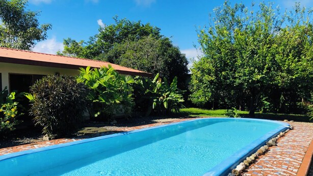 A rectangular swimming pool with a tiled edge, surrounded by greenery and a brick pathway.