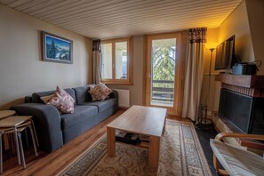 TV, fireplace - Arsets 61.11 3 rooms 2 bedrooms at the foot of the Gryon ski area - Villars - Les Diablerets (Gryon)