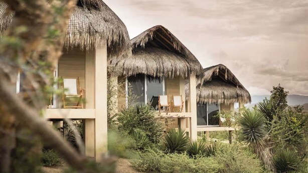 A resort with thatched-roof cabins, a garden with various plants, and a clear view of the sky. - Hotel Cabanas uno (El Pescadero)