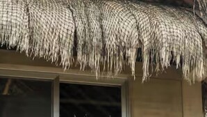 A building with a thatched roof, a balcony with chairs, and a window with a view of trees. - Hotel Cabanas uno (El Pescadero)