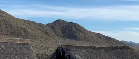 A thatched-roof building with a cactus in the foreground, surrounded by hills.