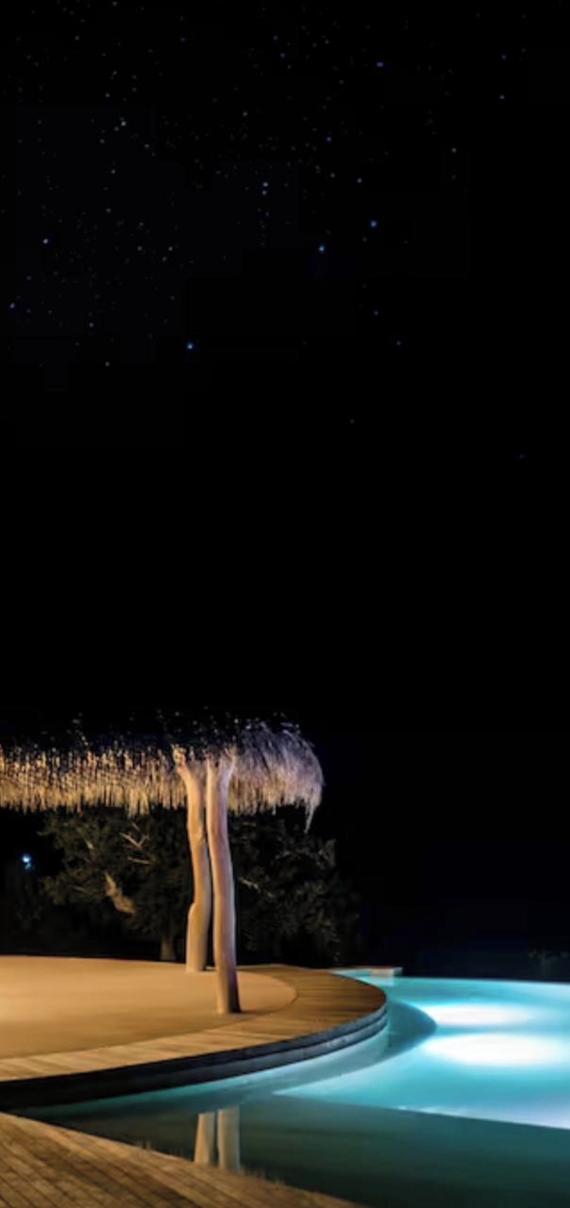 Escena nocturna con una piscina, una estructura de techo de paja y un cielo estrellado.