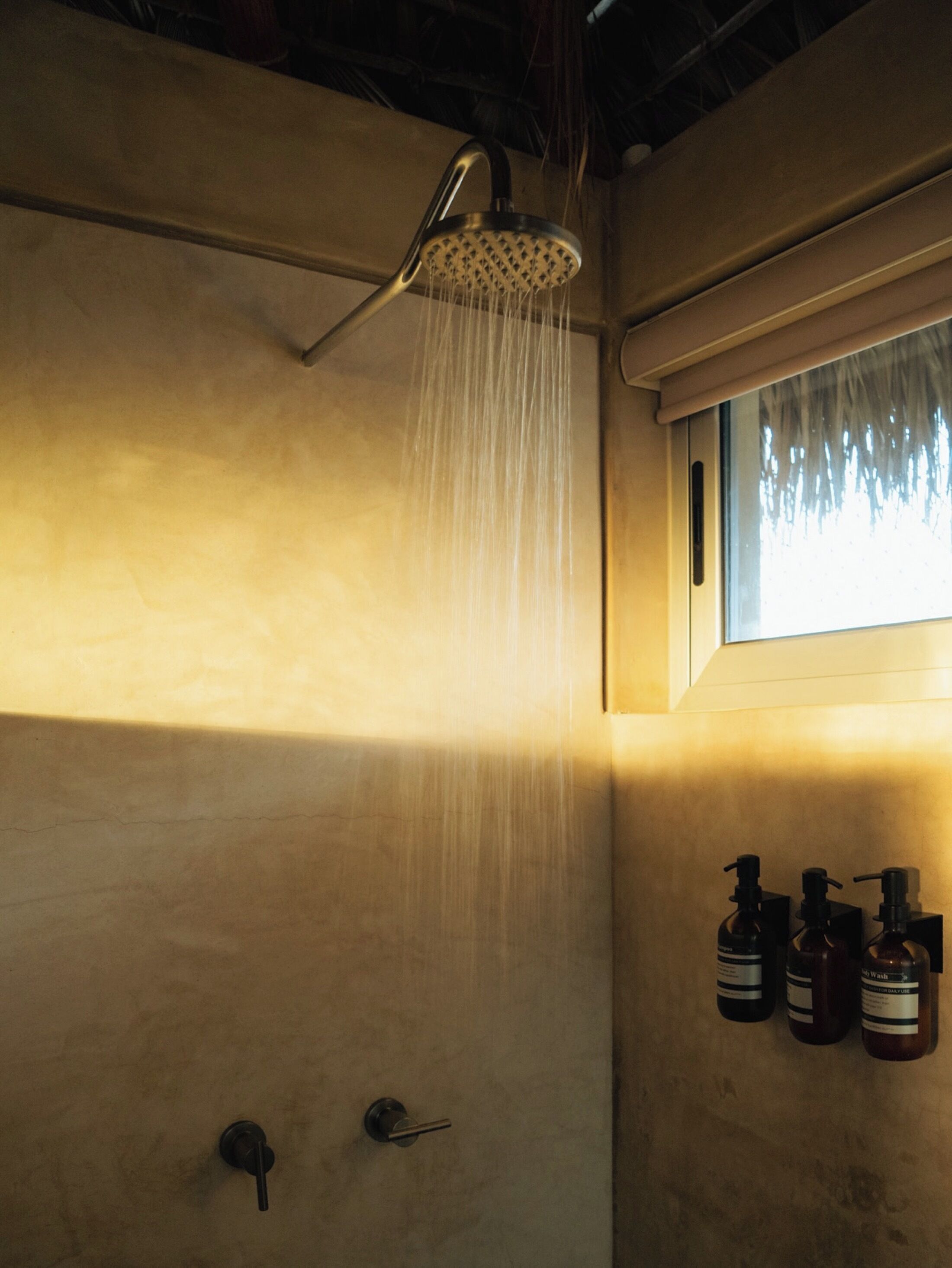 A shower with a rain showerhead, a window with a view, and three bottles of soap on the wall.