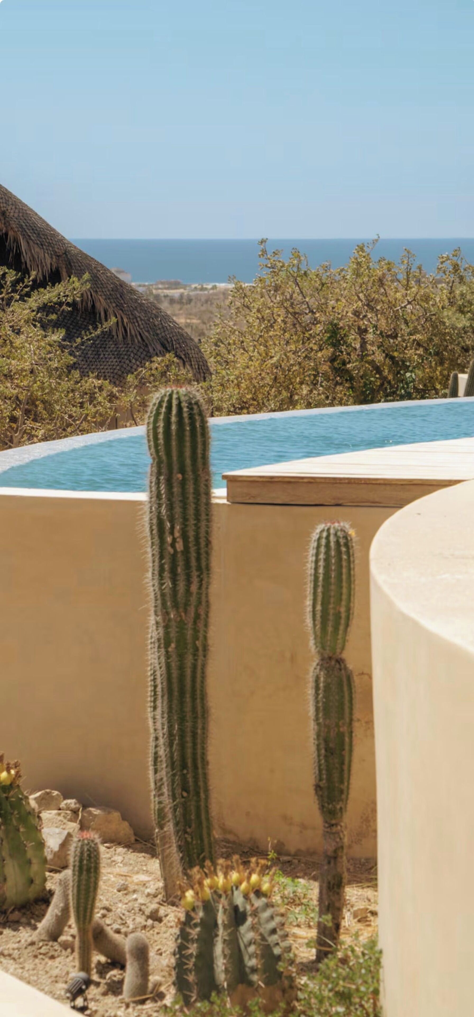 A pool with cacti and a view of the sea.