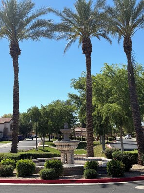 Property grounds - Modern Mediterranean Casita (Chandler)