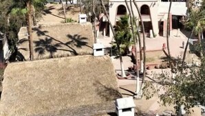 A coastal area with palm trees, a white building with arches, and a thatched-roof structure. - SS 1A Cabaña rustica frente al malecón de La Paz (La Paz)