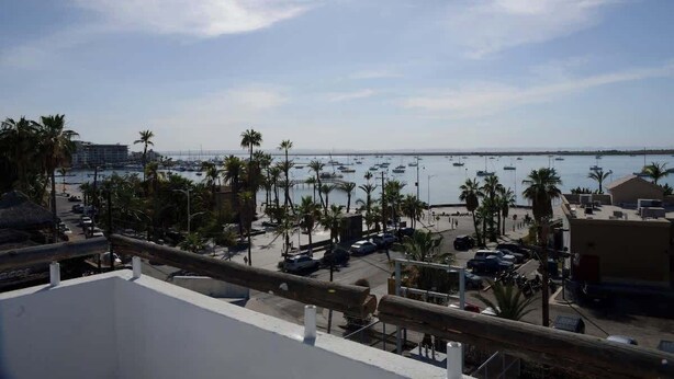 Une vue sur la côte, avec un port de plaisance, des palmiers et des bâtiments.