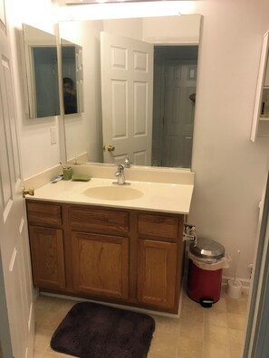 Bathroom - Cozy 1-bedroom house in enchanting Raleigh with AC (Raleigh)