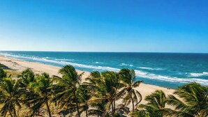 Una playa con palmeras y vista al océano.