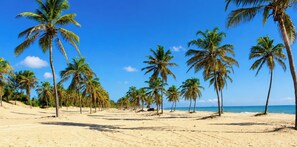 Beach nearby, white sand - Pousada On the Beach - Aquiraz - CE (Aquiraz)