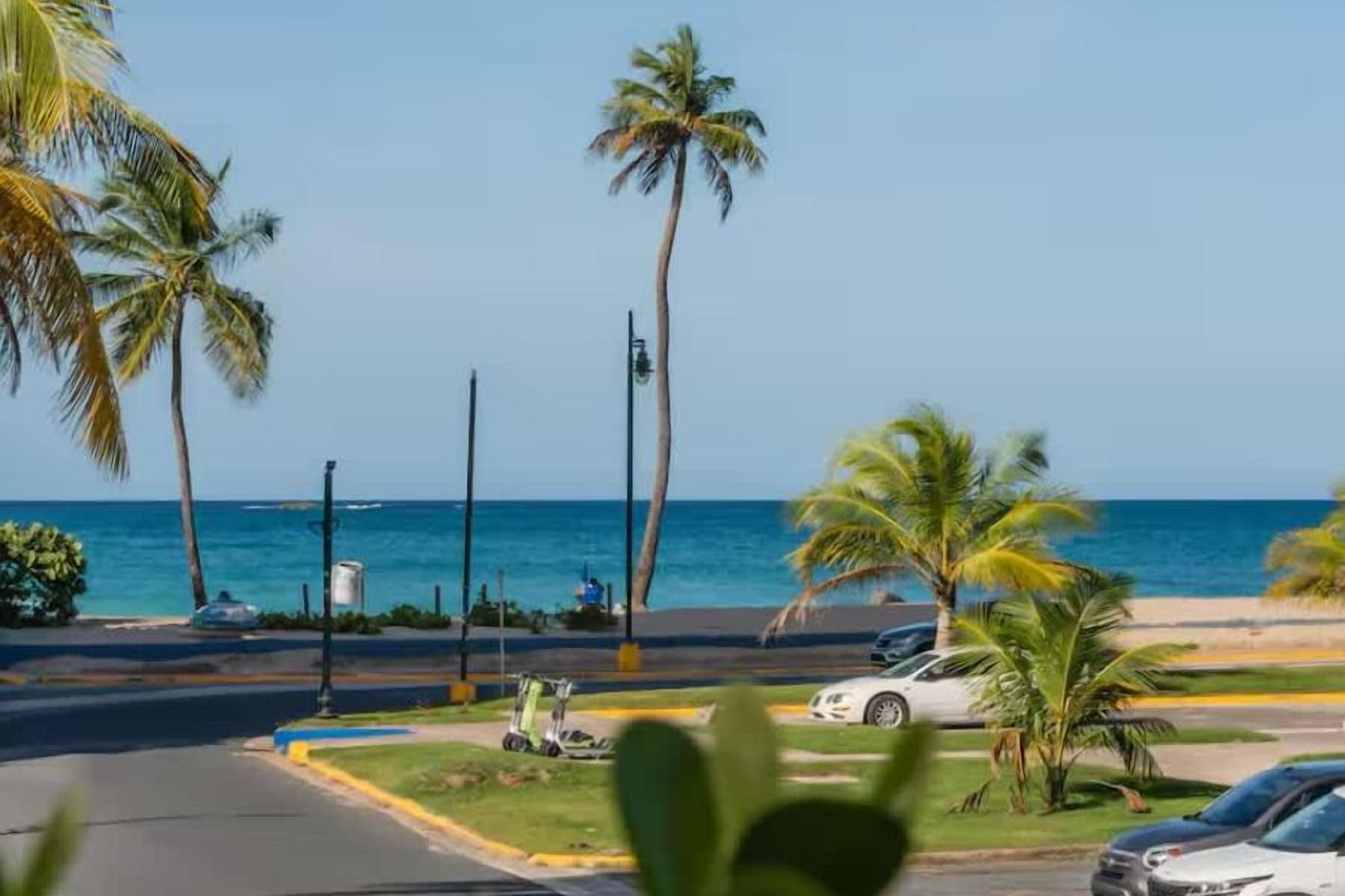 A coastal road with palm trees, a clear sky, and a view of the ocean.