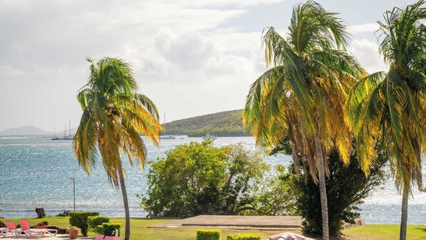 A swimming pool with a tiled roof, palm trees, and a view of the sea. - Villa Costera 904 Island Escapade Culebra (Culebra)