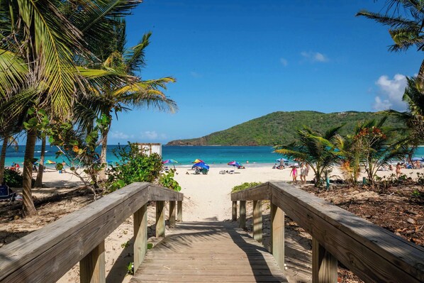 A wooden pathway leading to a beach with palm trees and umbrellas.