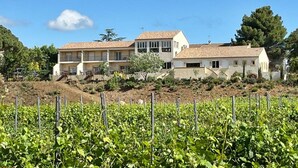 Un edificio de dos pisos con techo de tejas, rodeado de un viñedo.