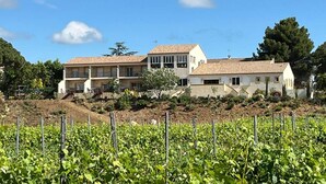 A two-story house with a garden in front, surrounded by vegetation. - Gorgeous apartment in Mirepeisset with WiFi (Mirepeisset)