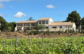 Exterior - Gorgeous apartment in Mirepeisset with WiFi (Mirepeisset)