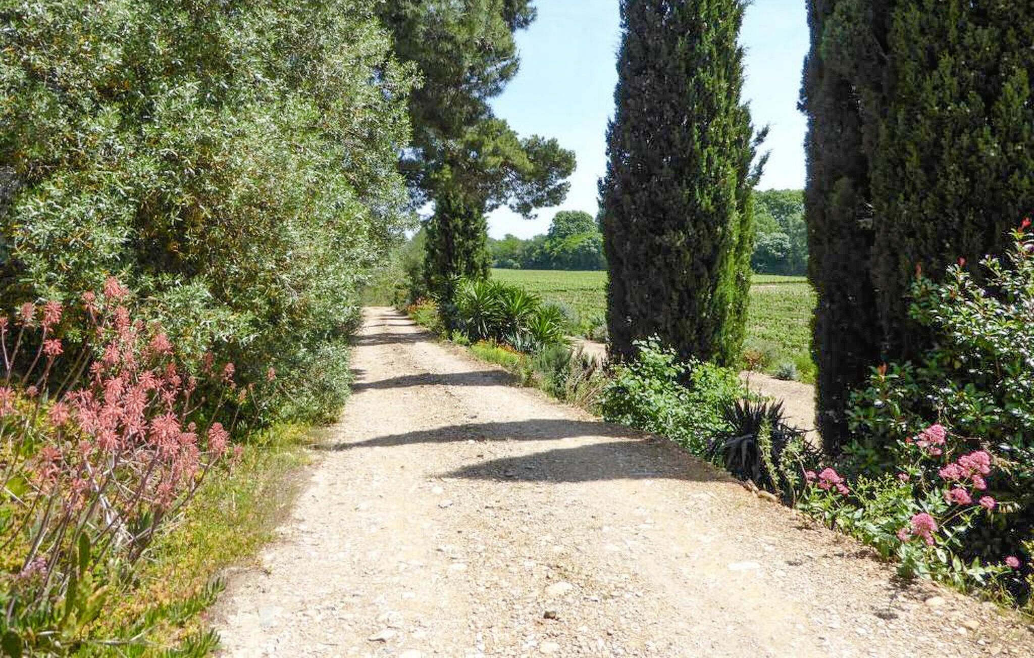A gravel path flanked by trees and shrubs, leading to a field.