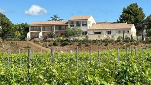 Un edificio grande de varios pisos con techo plano, rodeado por un viñedo.