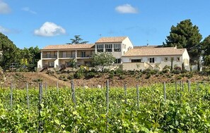 Exterior - Lovely home in Mirepeisset with swimming pool (Mirepeisset)