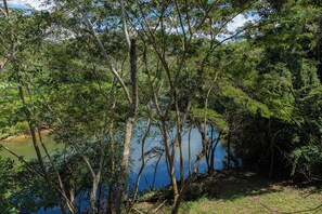 A natural landscape with trees and a body of water. - Tohja' Riverside Cabins (San Ignacio)