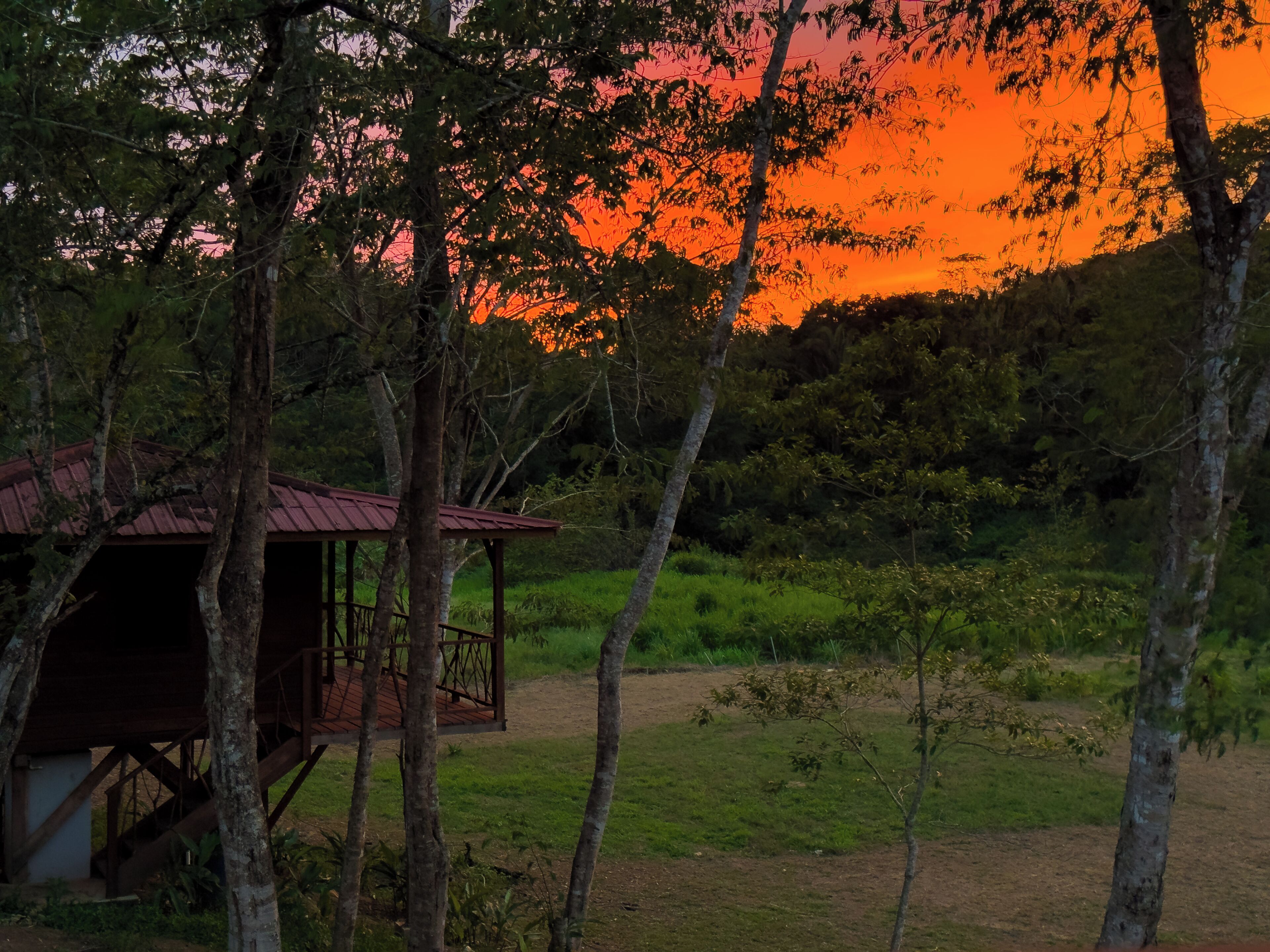 Basic Cabin, River View | Exterior