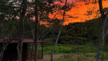 Basic Cabin, River View | Exterior
