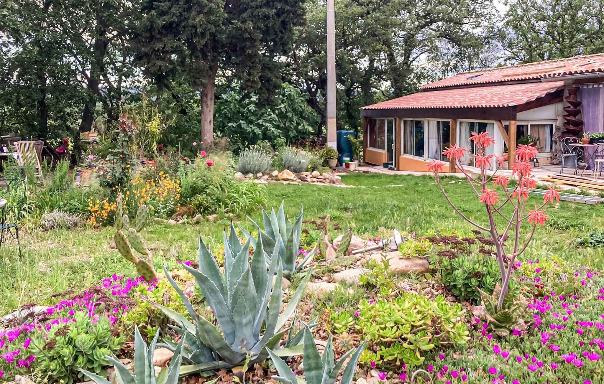 A garden with various plants and a building with a red roof.