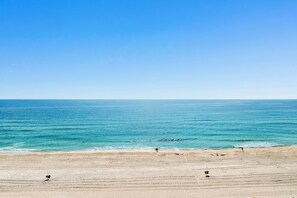 A beach with a clear sky, calm sea, and a sandy shore. - Pet Friendly! Beach Front- East Corner Unit- 2 Pools- Caribbean 501 (Gulf Shores)