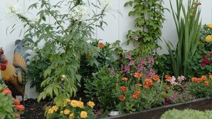 Een tuin met een metalen zonversiering, verschillende planten en bloemen.