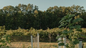 A fenced garden with various plants and trees in the background. - Snug Harbor Inn | Blueberry Suite | Near Lake MI (Muskegon)
