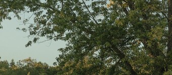 Snug Harbor Inn | Near the Lake Michigan | 9 Units