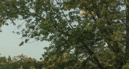 Snug Harbor Inn | Near the Lake Michigan | 9 Units