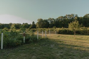 Un jardín cercado con diversas plantas y un árbol pequeño.