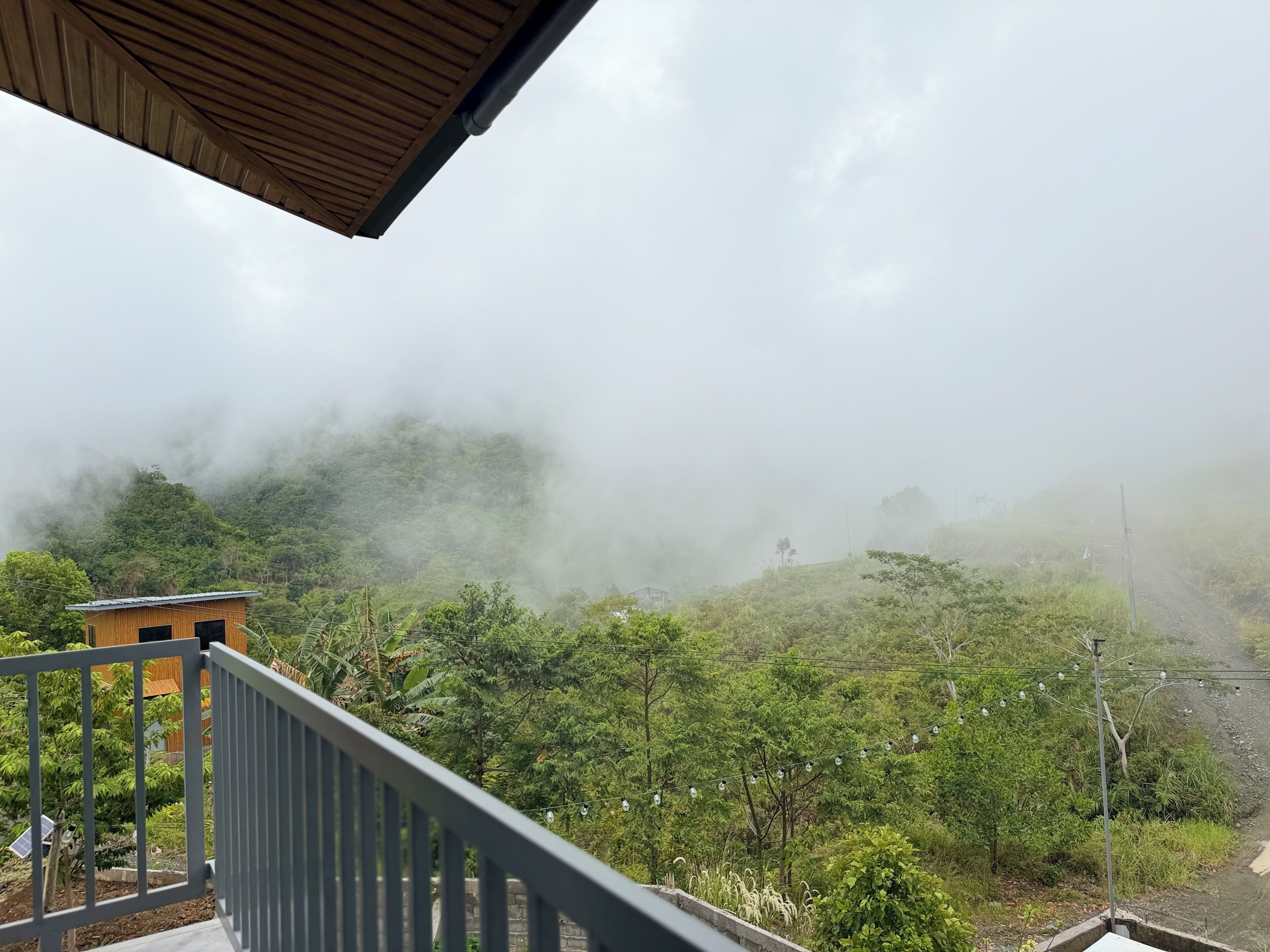 Área da propriedade