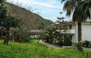 Property grounds - 2 bedroom lovely apartment in Ricadi (Ricadi)