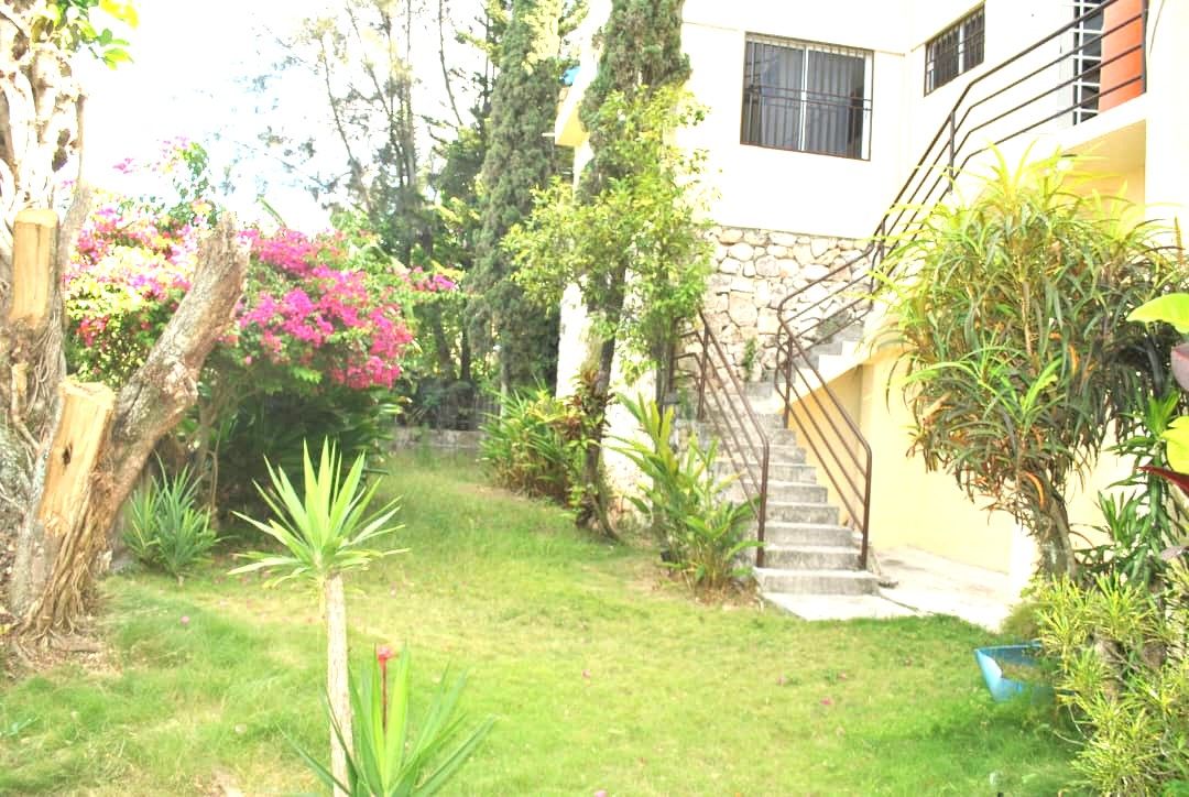 Un giardino residenziale con una scalinata che conduce a un edificio, circondato da varie piante e alberi.