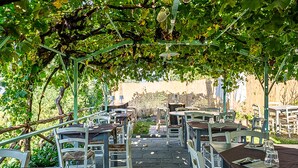 Zona salotto all'aperto con tavoli e sedie sotto una pergola, circondata dal verde.