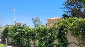 A residential area with a wall covered in greenery, a clear sky, and a building with a tiled roof.