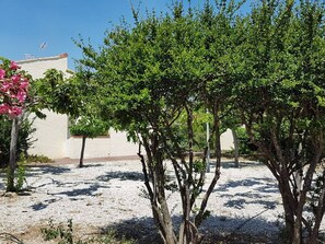 Property grounds - Calm Apartment with Terrace & Parking, 200m from Beach (Le Barcarès)