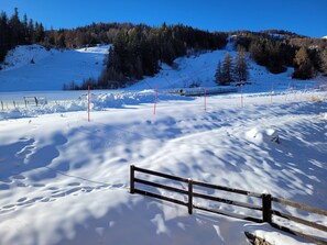 Skidåkning och snöaktiviteter