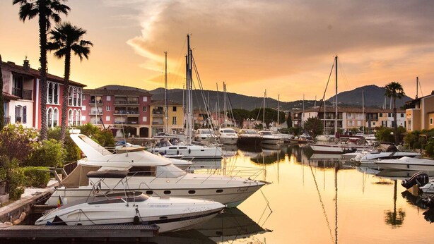 Un puerto deportivo con barcos amarrados, rodeado de edificios y palmeras.