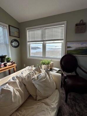 TV, books, music library, video library - The Nest at Black Hall (Old Lyme)