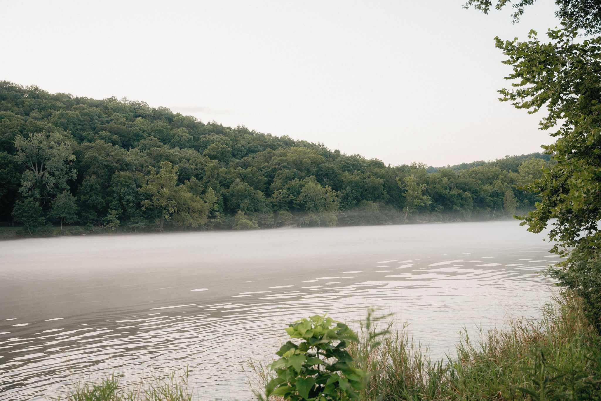 Un lac paisible, entouré d’une forêt dense.