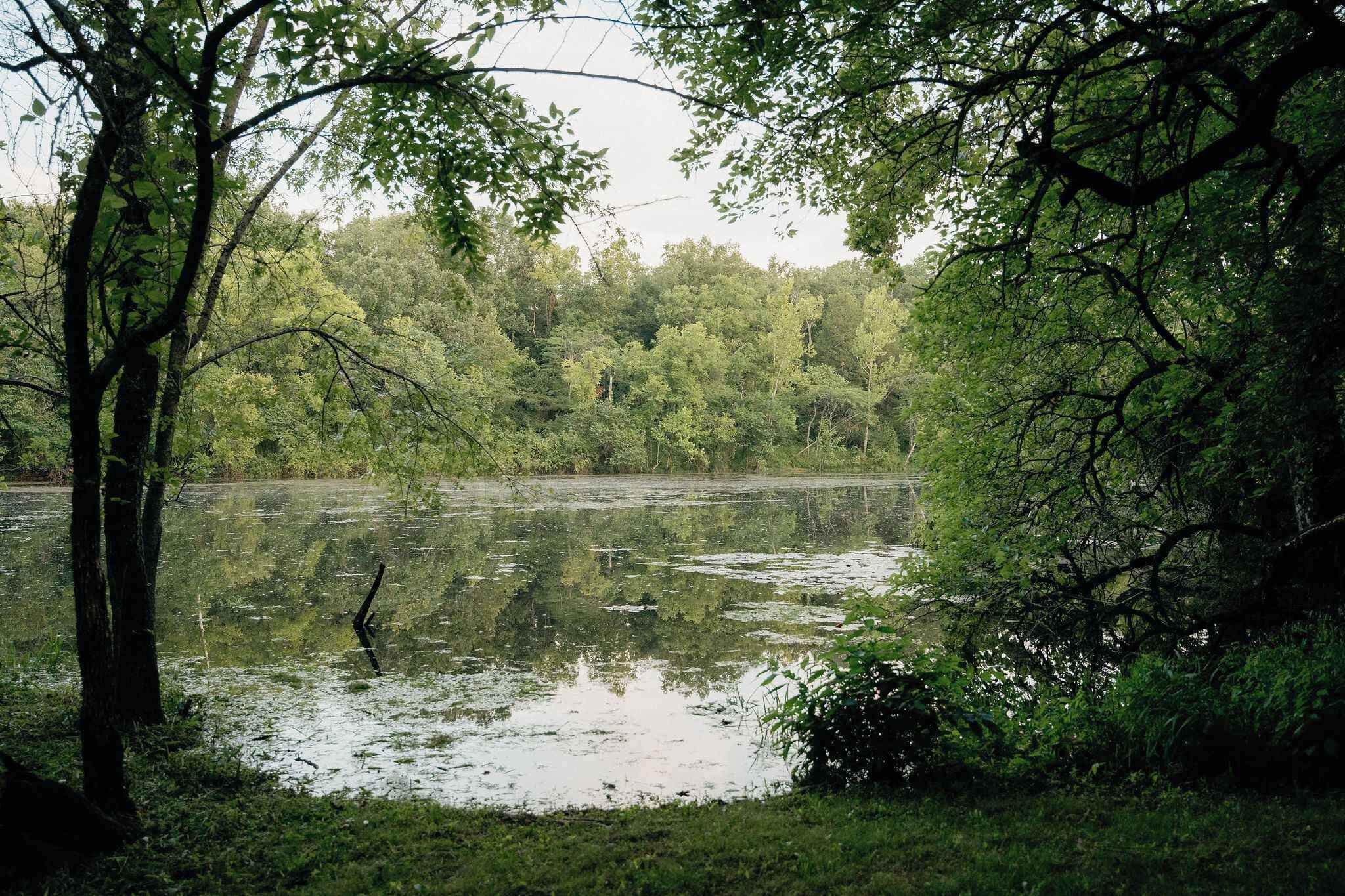 Eine natürliche Landschaft mit einem Gewässer, das von Bäumen umgeben ist.