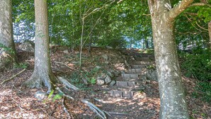 A forested area with a stone staircase leading up a rocky slope. - Beautiful home in Tjörnarp with WiFi (Tjörnarp)