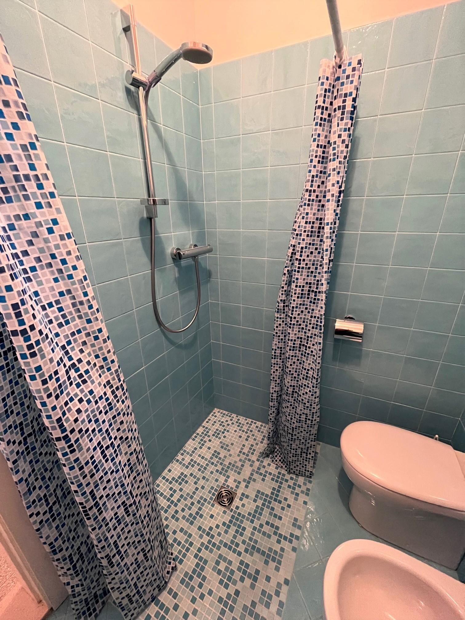 Regadera y bidet 