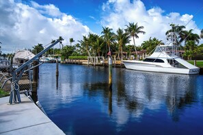 Eine Marina mit einer weißen Yacht, die an einem Steg festgemacht ist, umgeben von Palmen und einem klaren Himmel.