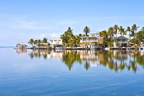 Marina - Ocean Acres: 3BR Oceanfront Estate on 20 Acres w/ Heated/Chilled Pool & Dog-Friendly (Sugarloaf Key)