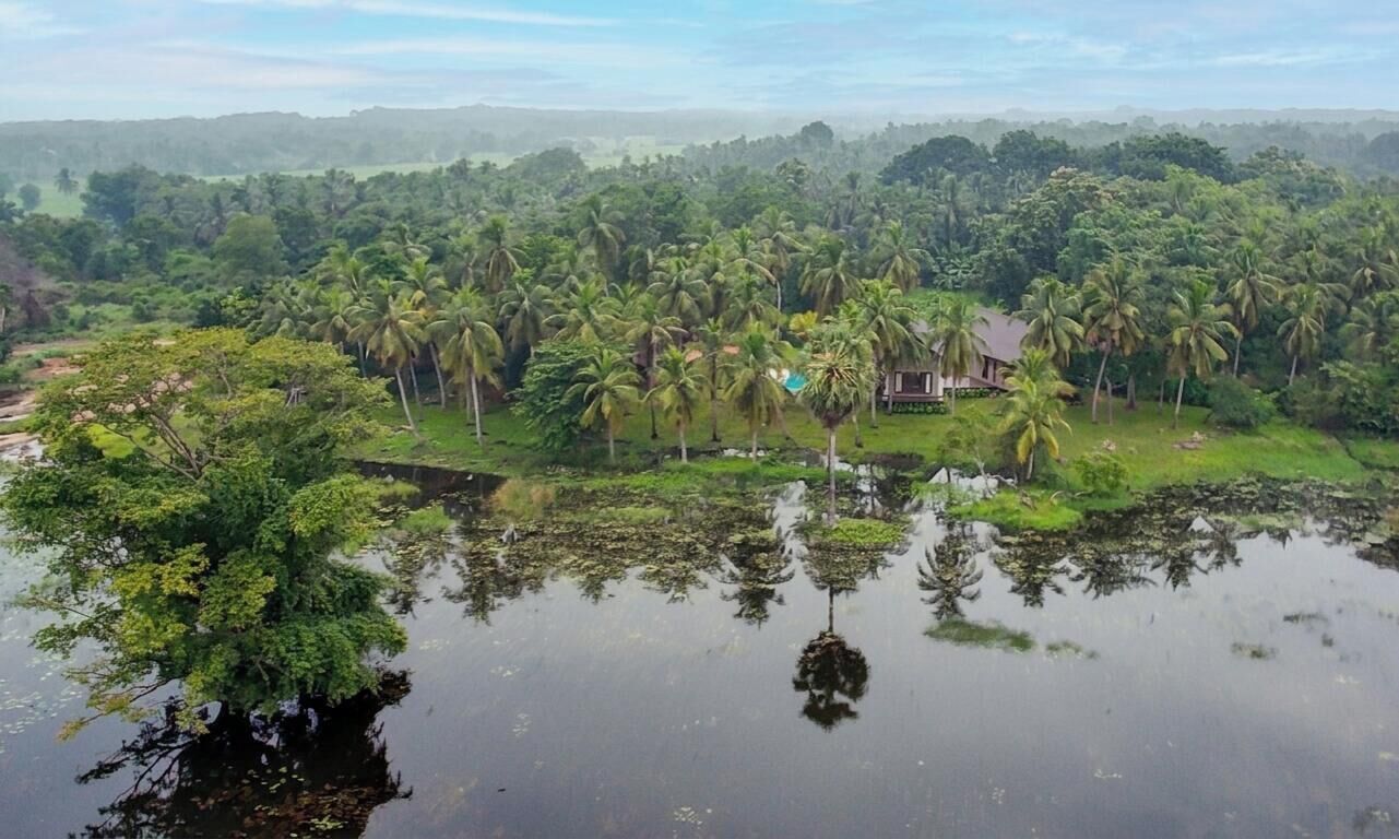 Un paisaje tropical con una casa rodeada de palmeras densas y una masa de agua.
